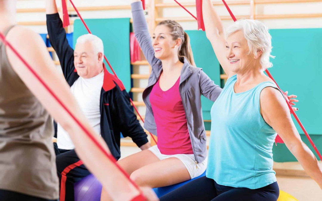 Gym Seniors®
